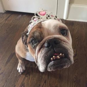 Meet your Posher, Erin